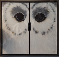 owl, white