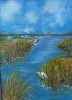 Litchfield, swamp, egret