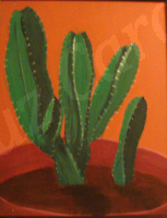 Cacti