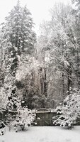 Snow