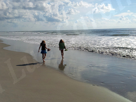 Pawleys Island