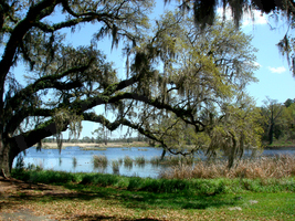 South