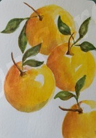 oranges watercolor